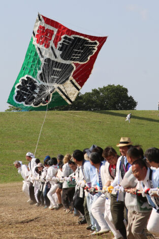 丸秀の竹材を使用：埼玉県春日部市の大凧祭り・大凧の骨組み資材に