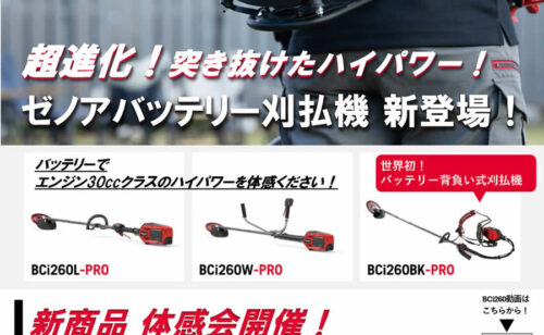 Next